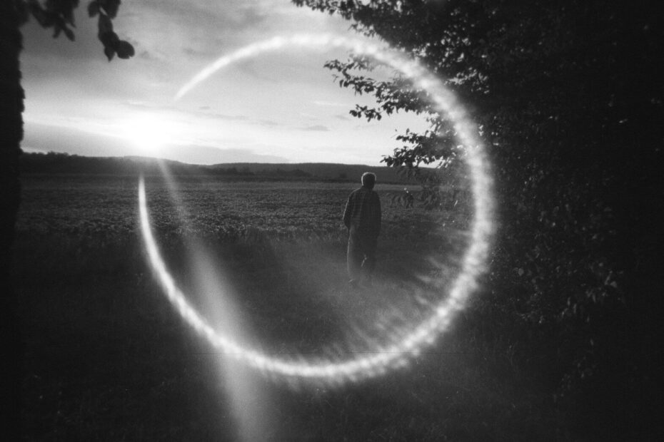 A person walking through a field toward a low sun with lens flare